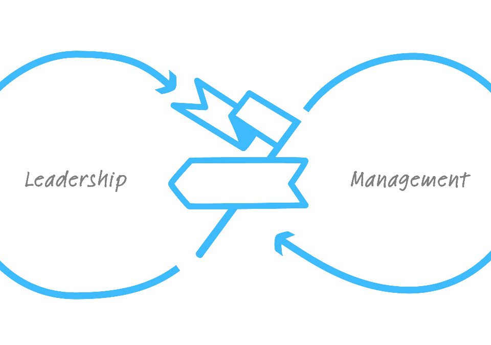 جایگاه تئوری سازمان و مدیریت به لحاظ سطح و نوع تبادل